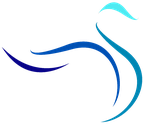Blue Swan Ventures logo, three abstract blue brushstrokes forming a swan